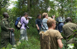 Tourism services at Mika Uganda Ltd Tourism services at Mika Uganda Ltd