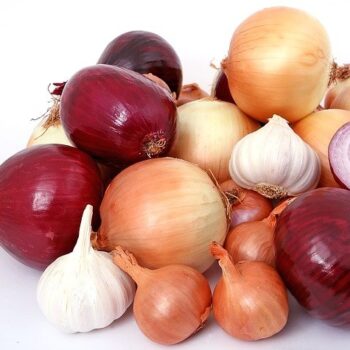 Onions at Mika Uganda Ltd